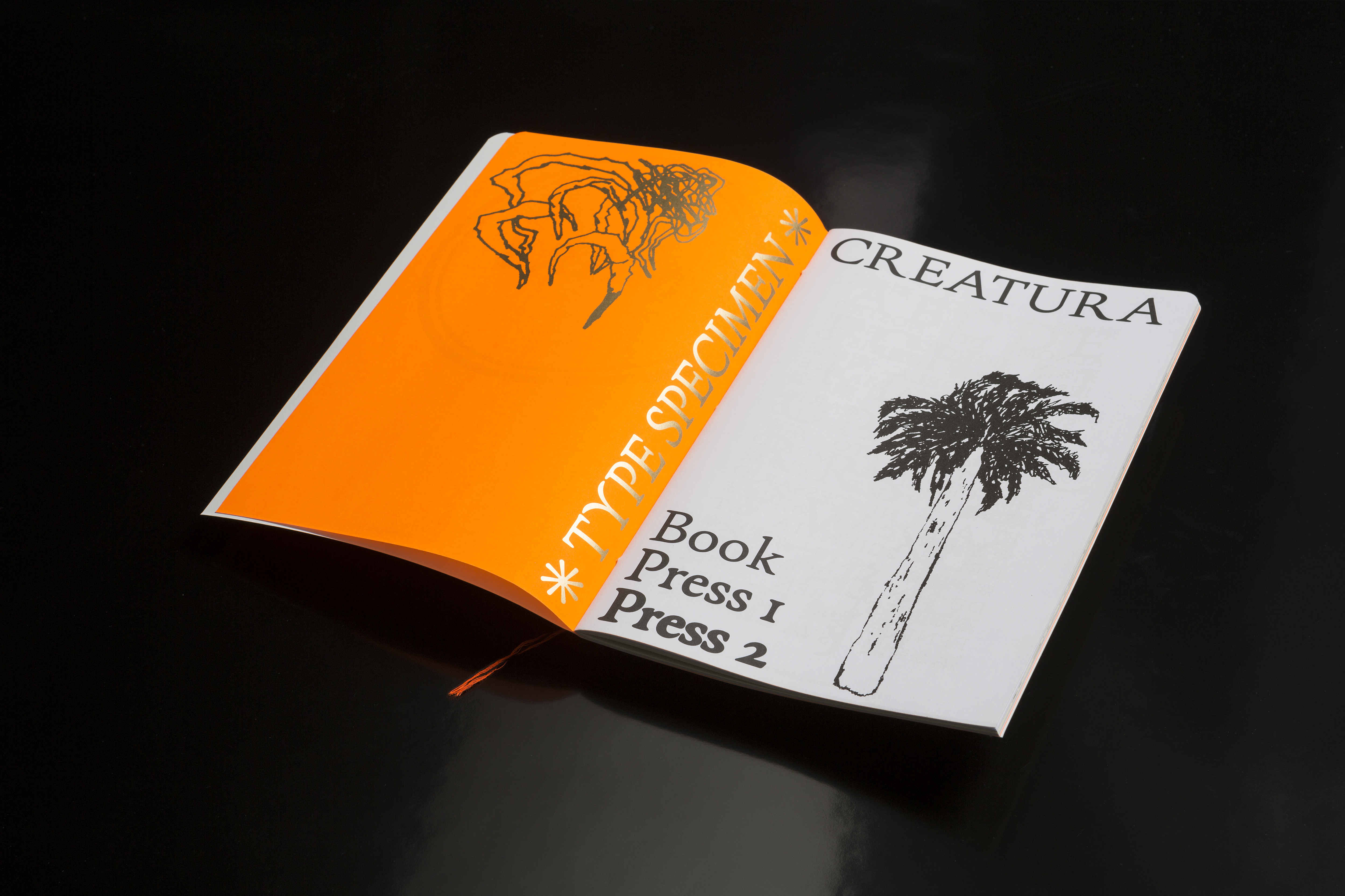 Open Creatura font specimen showing a spread with a bold orange 'TYPE SPECIMEN' page and a minimalist palm tree illustration. The catalog juxtaposes experimental design with traditional typeface elements inspired by the Aldine Roman typeface.