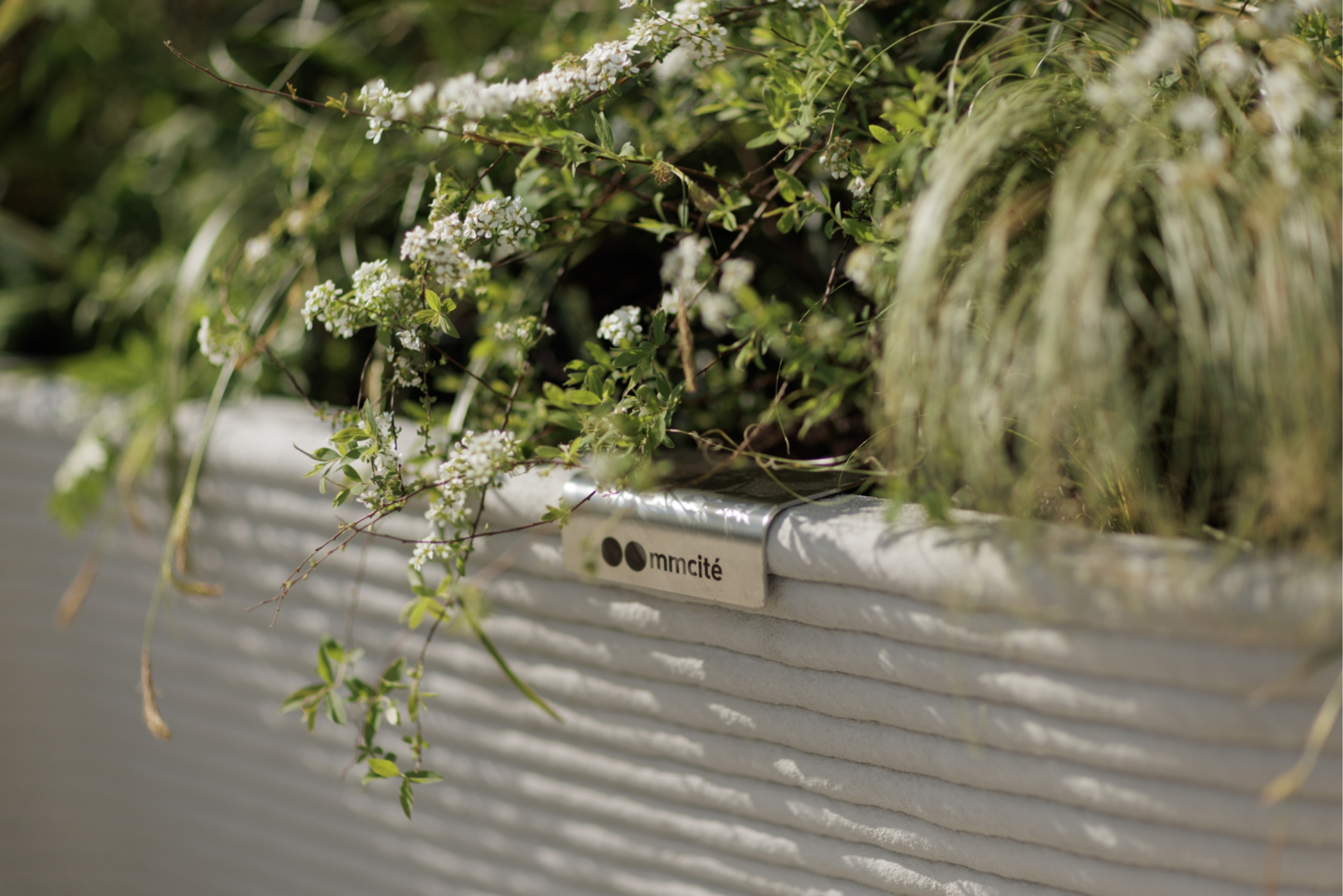Close-up of a mmcité planter filled with greenery, showcasing the updated brand identity with subtle logo placement and a focus on natural integration and modern design.