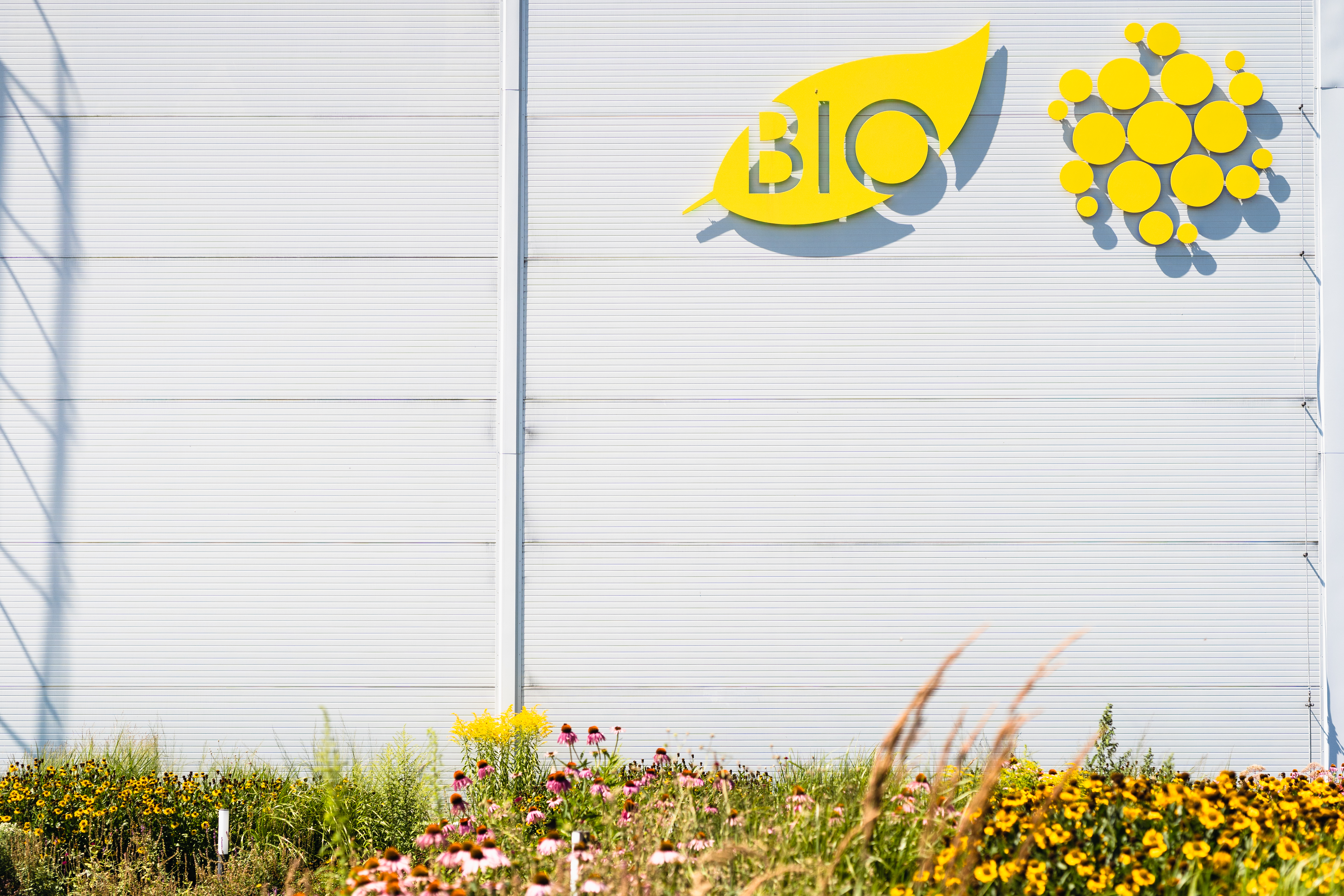 The Naturfyt Bio logo is displayed on a large, modern factory building wall, featuring a bold yellow 'BIO' text inside a leaf shape and a cluster of circular icons symbolizing natural growth. In the foreground, vibrant wildflowers bloom, highlighting the brand's connection to nature and organic products. This setup reflects Naturfyt Bio's commitment to a visually clean, nature-inspired brand identity, emphasizing eco-friendly values and scientific inspiration.